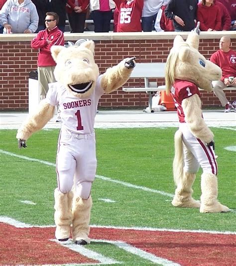 The Oklahoma Sooners Mascot: A Beloved Figure on Campus